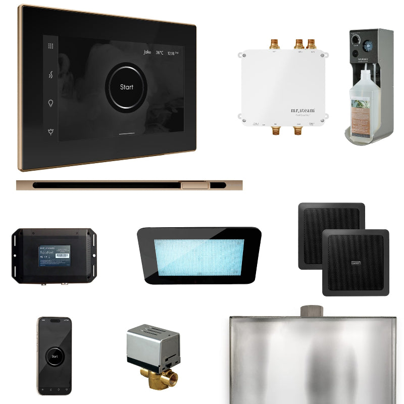 Mr Steam Bliss Steam Shower Control Package with iSteamX Control and Linear Steamhead in Black Polished Gold