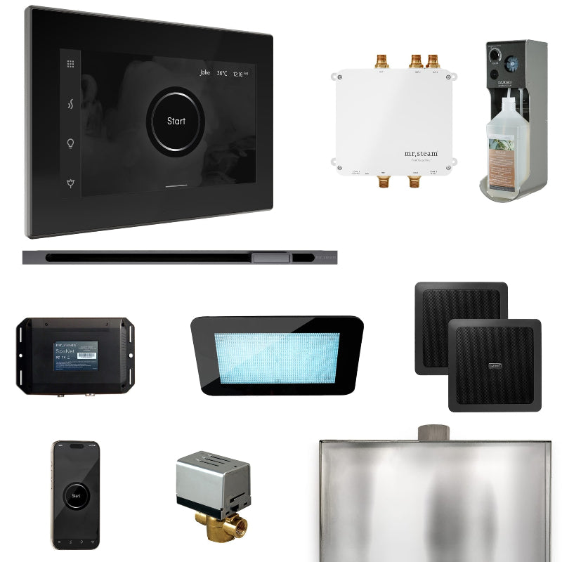 Mr Steam Bliss Steam Shower Control Package with iSteamX Control and Linear Steamhead in Black Satin Steel