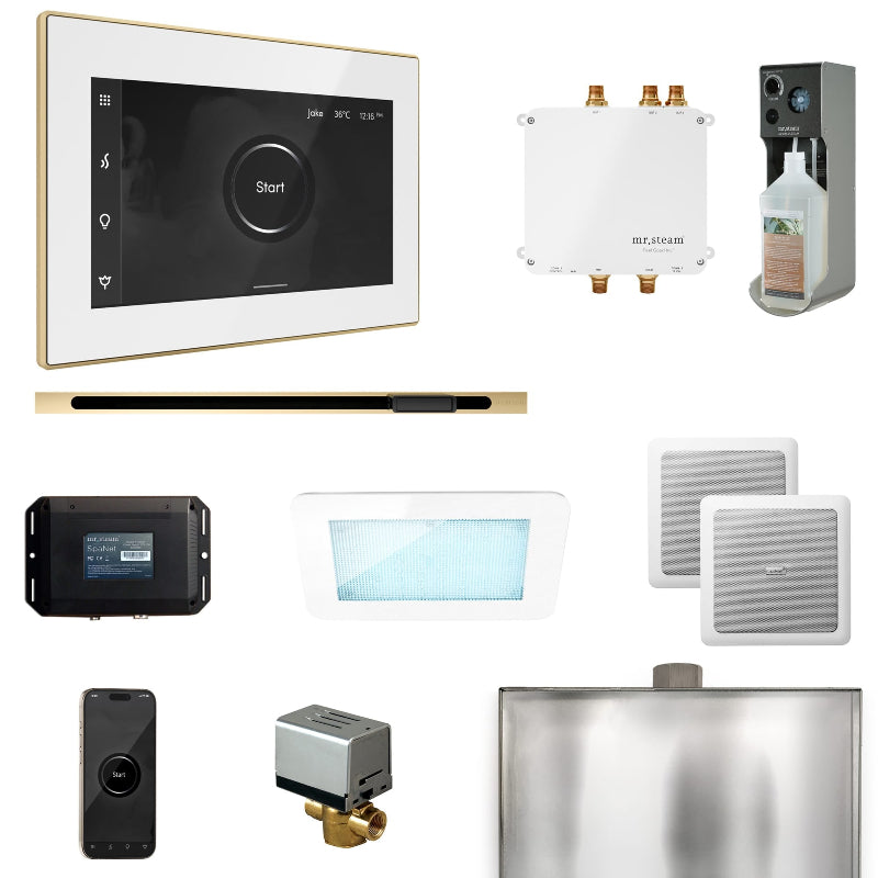 Mr Steam Bliss Steam Shower Control Package with iSteamX Control and Linear Steamhead in White Polished Brass