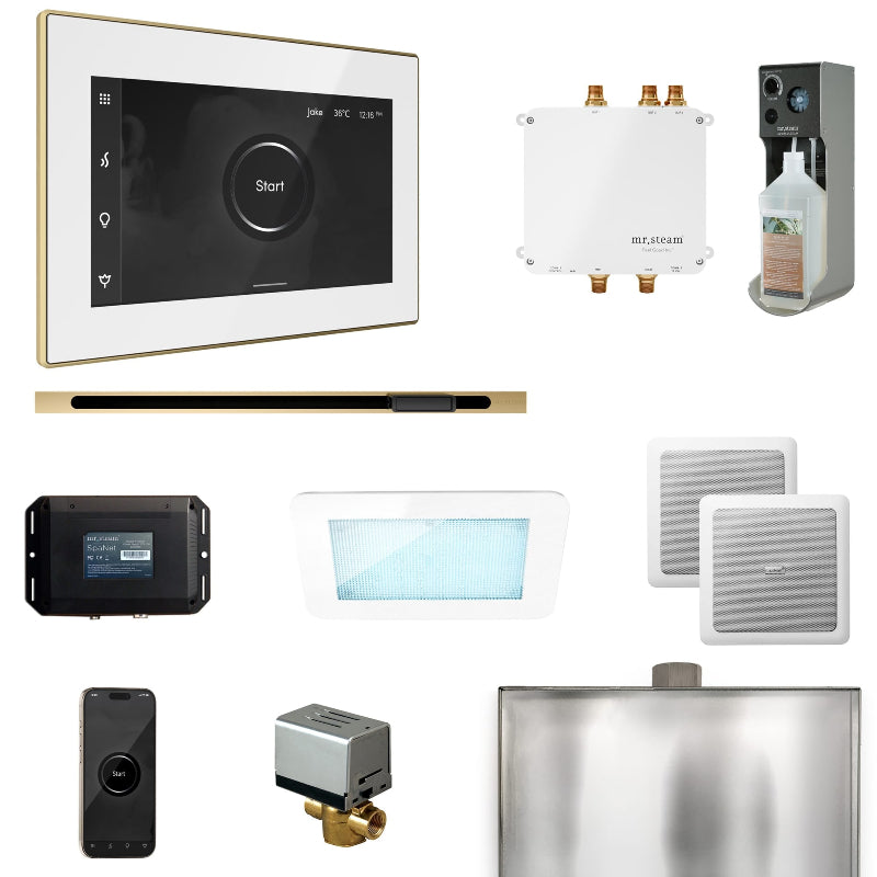 Mr Steam Bliss Steam Shower Control Package with iSteamX Control and Linear Steamhead in White Satin Brass