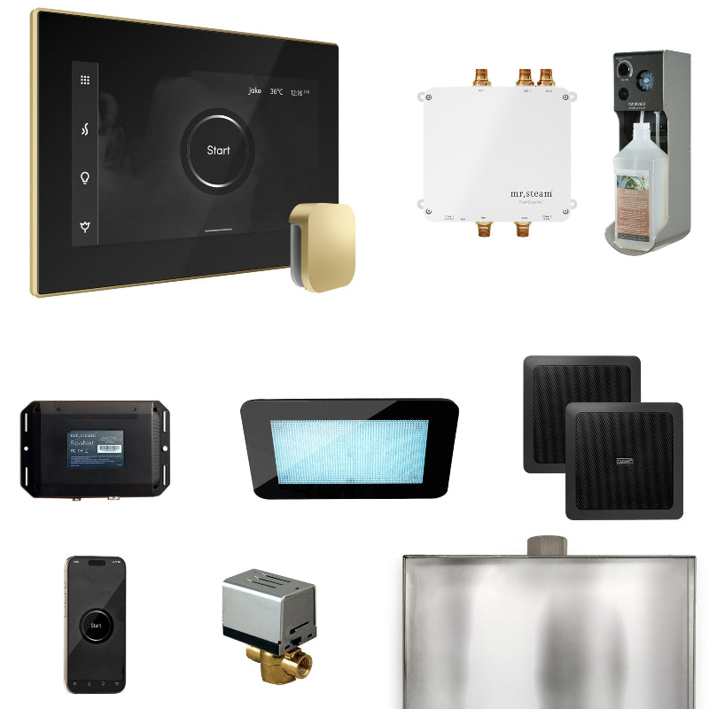 Mr Steam Bliss Steam Shower Control Package with iSteamX Control and Steamhead in Black Satin Brass