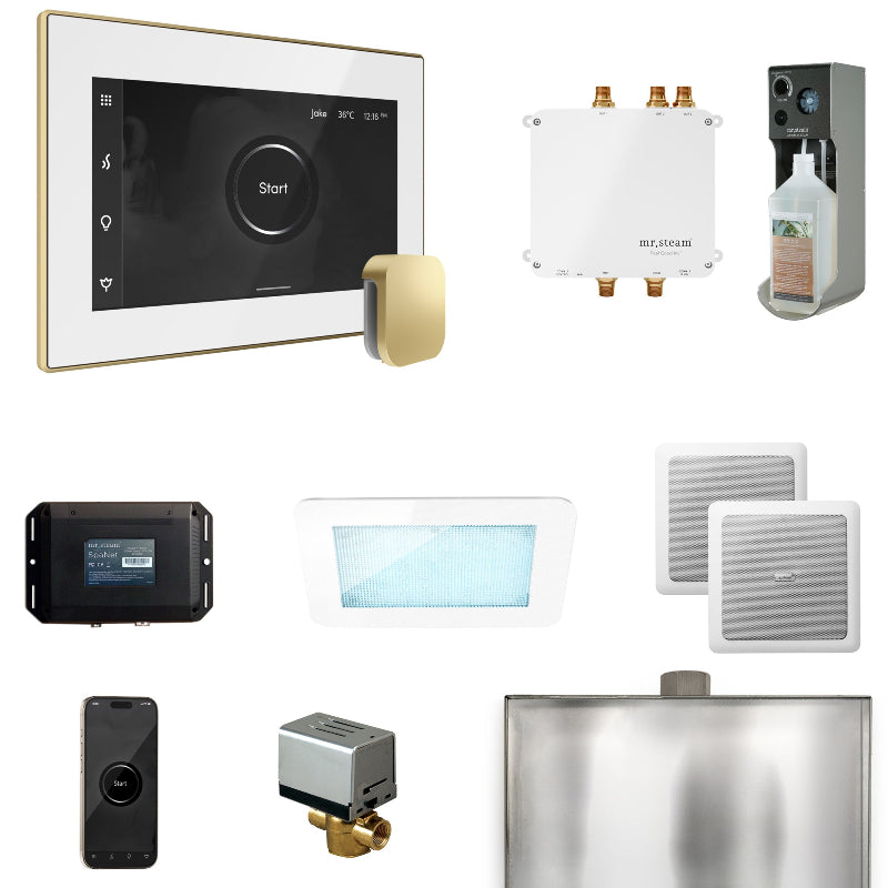 Mr Steam Bliss Steam Shower Control Package with iSteamX Control and Steamhead in White Satin Brass