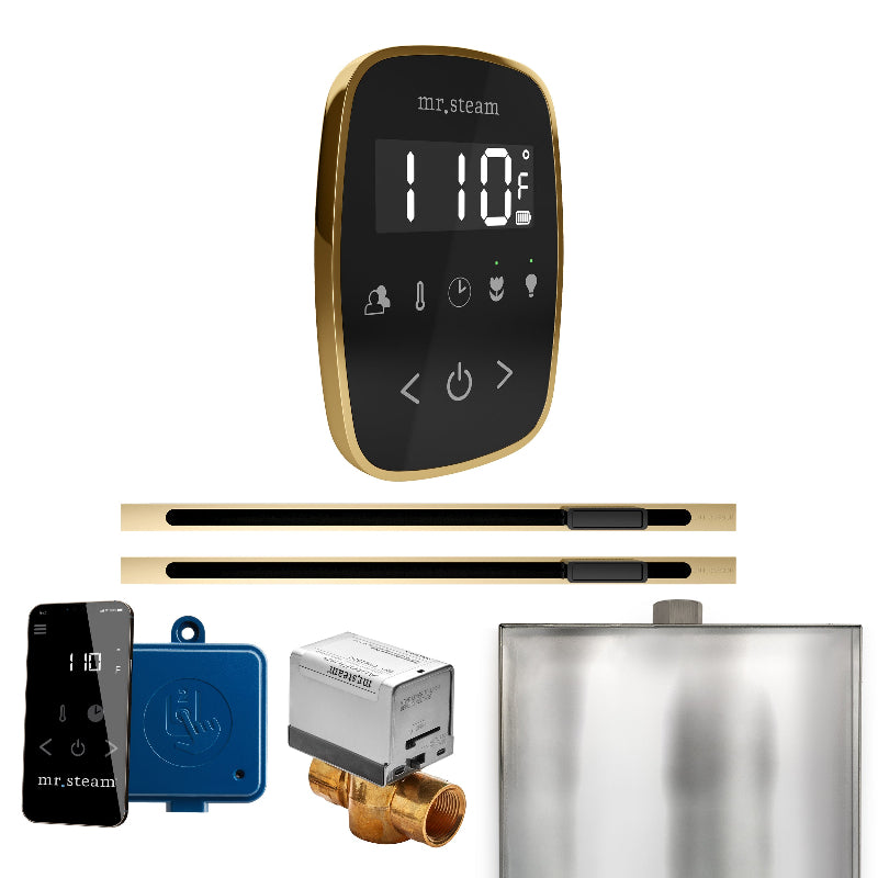 Mr Steam ButlerFlex Max Steam Shower Control Package with Black TempoFlex Control and Polished Brass Linear Steamhead