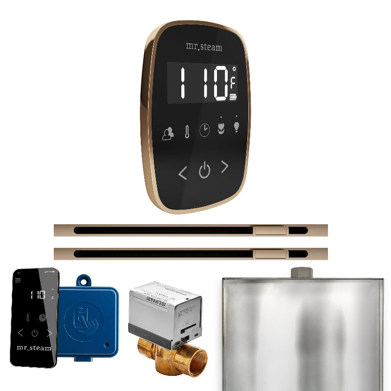Mr Steam ButlerFlex Max Steam Shower Control Package with Black TempoFlex Control and Polished Gold Linear Steamhead