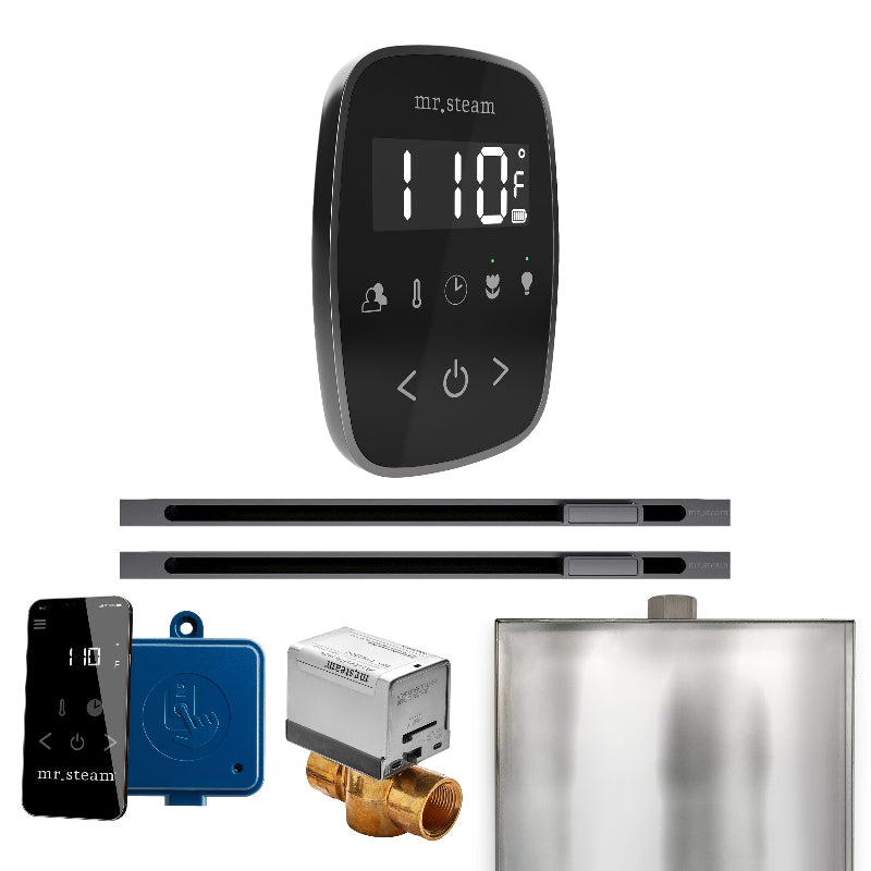 Mr Steam ButlerFlex Max Steam Shower Control Package with Black TempoFlex Control and Satin Steel Linear Steamhead
