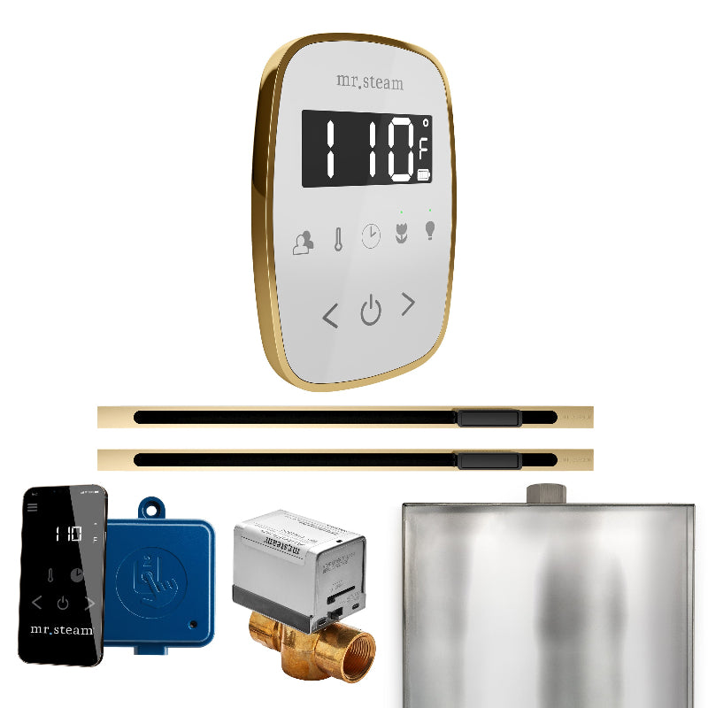 Mr Steam ButlerFlex Max Steam Shower Control Package with White TempoFlex Control and Polished Brass Linear Steamhead