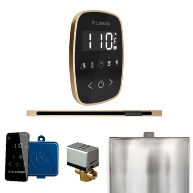 Mr Steam ButlerFlex Steam Shower Control Package with Black TempoFlex Control and Brushed Bronze Linear Steamhead