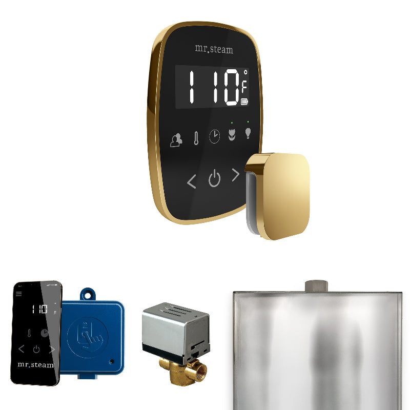 Mr Steam ButlerFlex Steam Shower Control Package with Black TempoFlex Control and Polished Brass Aromasteam Steamhead