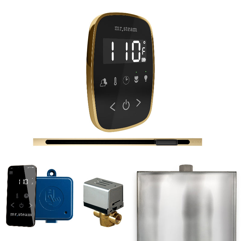 Mr Steam ButlerFlex Steam Shower Control Package with Black TempoFlex Control and Polished Brass Linear Steamhead