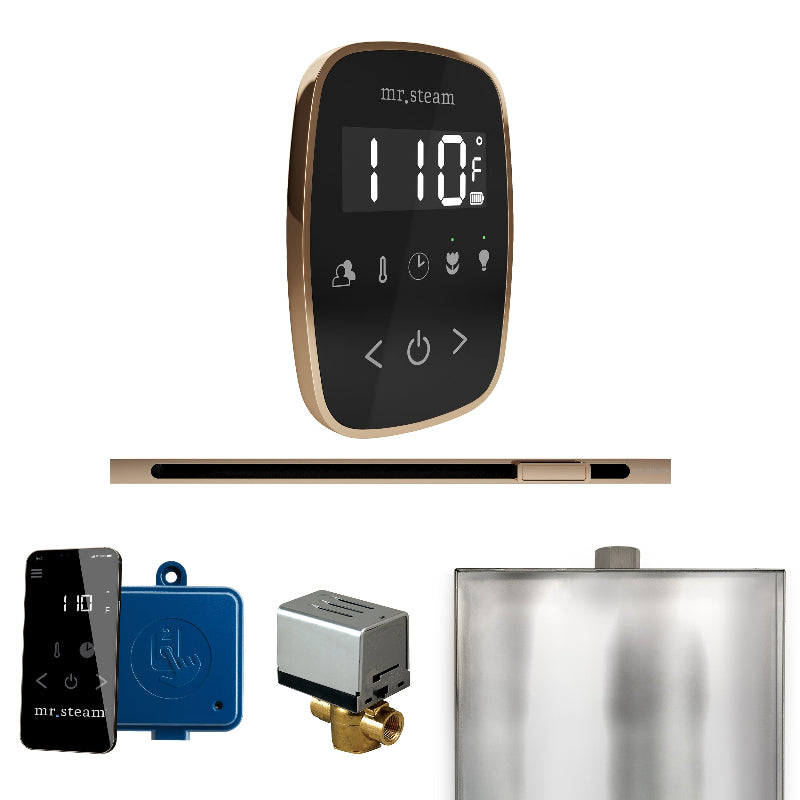Mr Steam ButlerFlex Steam Shower Control Package with Black TempoFlex Control and Polished Gold Linear Steamhead