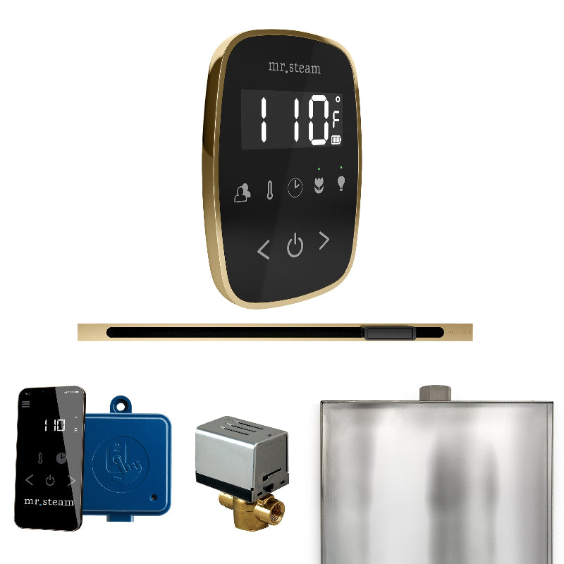 Mr Steam ButlerFlex Steam Shower Control Package with Black TempoFlex Control and Satin Brass Linear Steamhead
