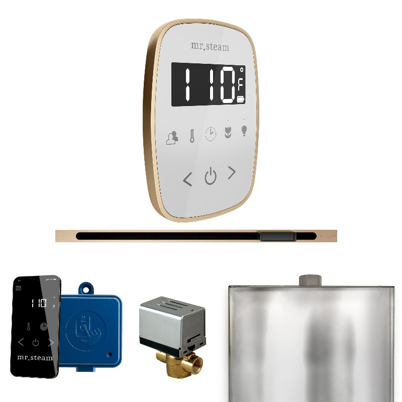 Mr Steam ButlerFlex Steam Shower Control Package with White TempoFlex Control and Brushed Bronze Linear Steamhead