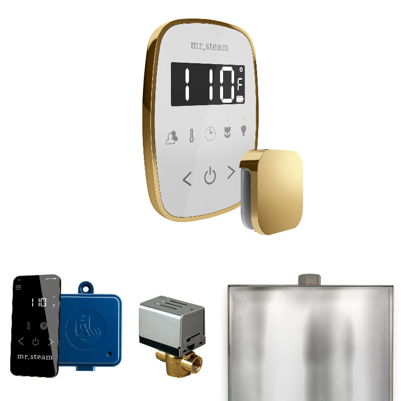Mr Steam ButlerFlex Steam Shower Control Package with White TempoFlex Control and Polished Brass Aromasteam Steamhead