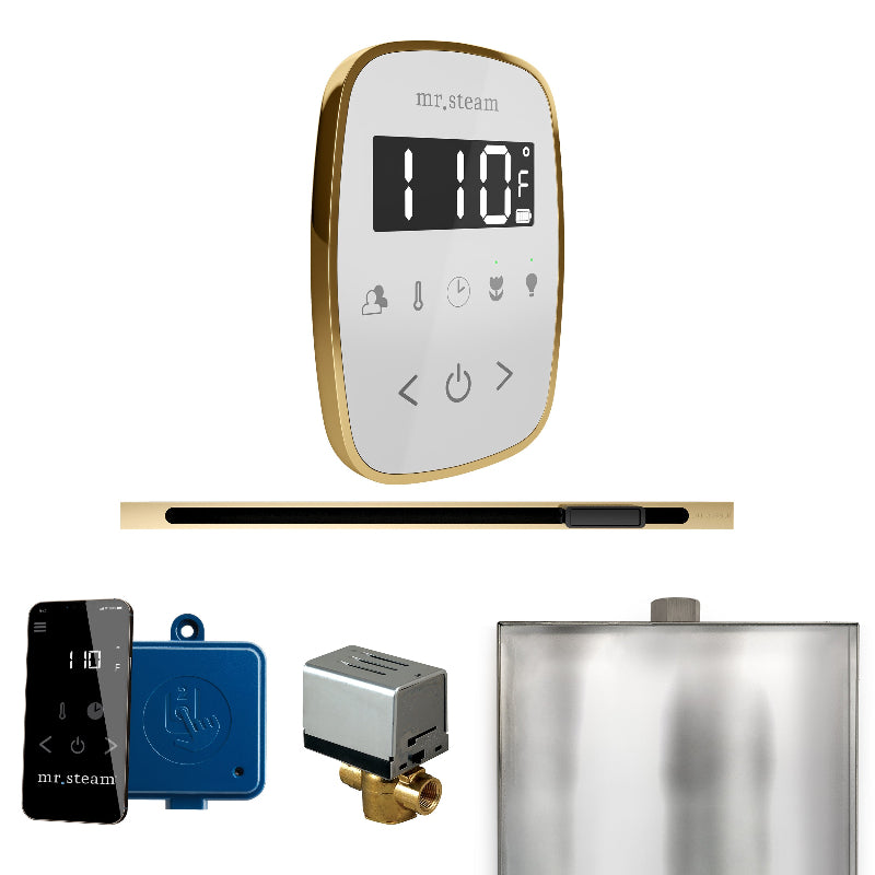 Mr Steam ButlerFlex Steam Shower Control Package with White TempoFlex Control and Polished Brass Linear Steamhead