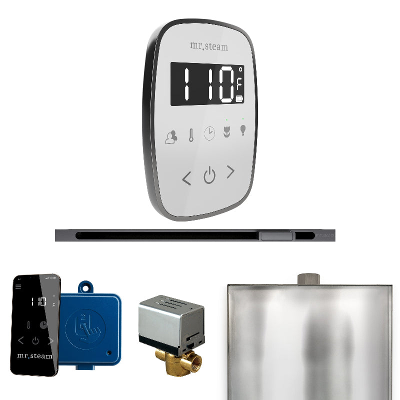 Mr Steam ButlerFlex Steam Shower Control Package with White TempoFlex Control and Satin Steel Linear Steamhead