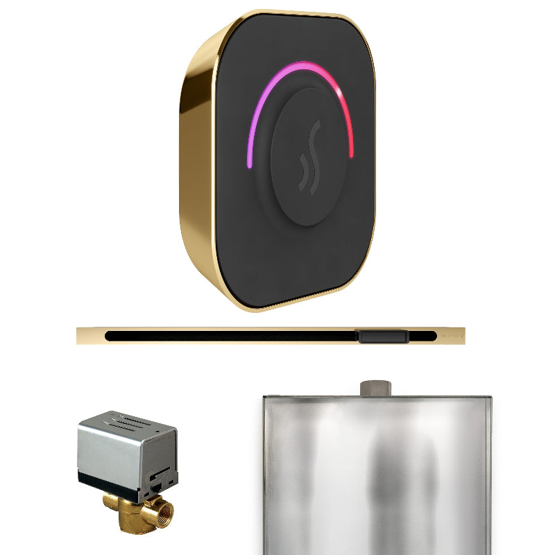 Mr Steam ButlerTouch Steam Shower Control Package with Black TempoTouch Control and Polished Brass Linear Steamhead