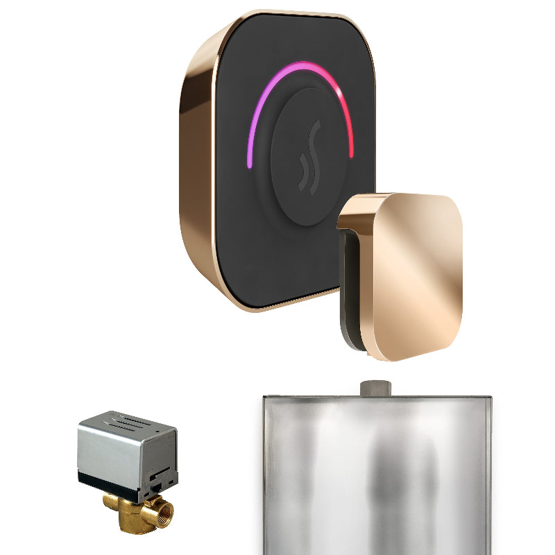 Mr Steam ButlerTouch Steam Shower Control Package with Black TempoTouch Control and Polished Gold Aromasteam Steamhead