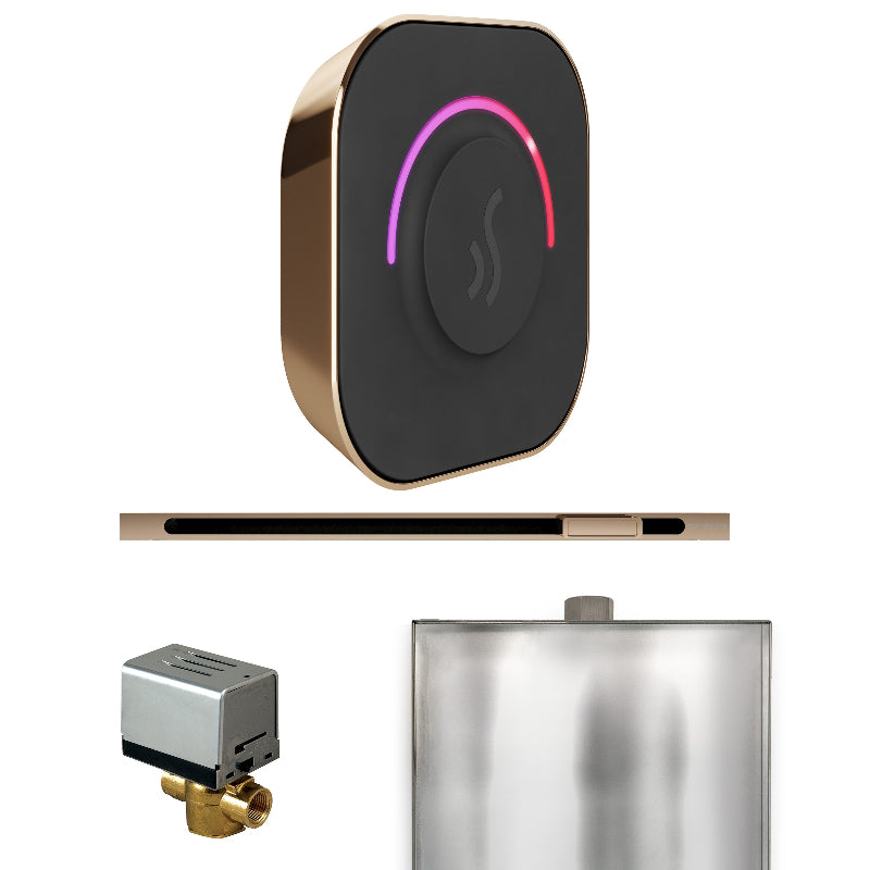 Mr Steam ButlerTouch Steam Shower Control Package with Black TempoTouch Control and Polished Gold Linear Steamhead