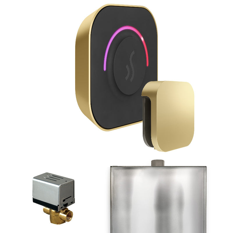 Mr Steam ButlerTouch Steam Shower Control Package with Black TempoTouch Control and Satin Brass Aromasteam Steamhead