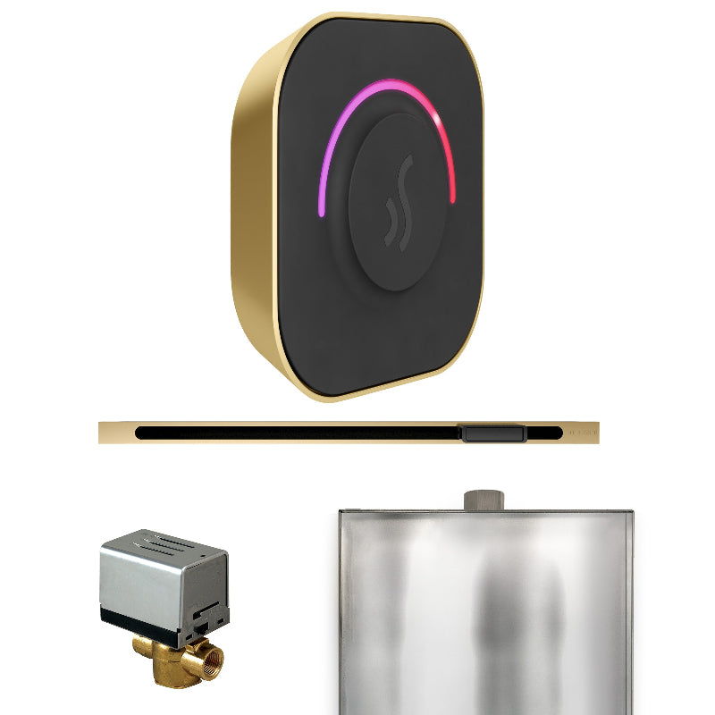 Mr Steam ButlerTouch Steam Shower Control Package with Black TempoTouch Control and Satin Brass Linear Steamhead