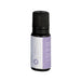 Mr Steam Chakra Aroma Oil, 10 mL Bottle in Violet Nirvana