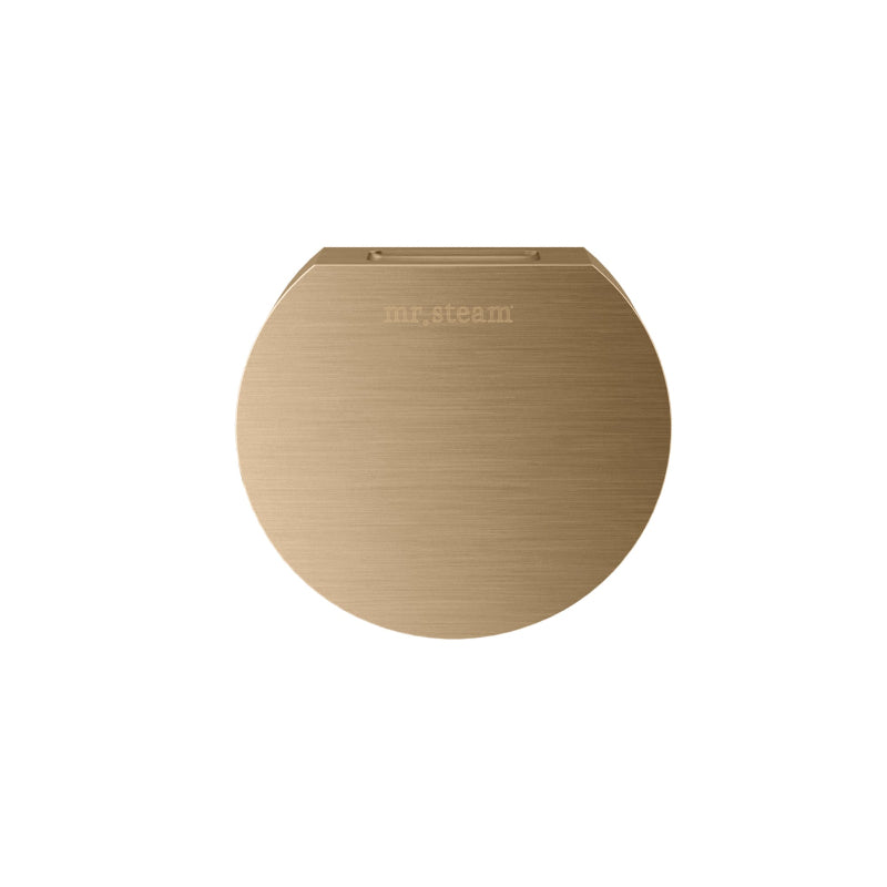 Mr Steam Round Aroma Designer Steamhead in Brushed Bronze
