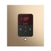 Mr Steam Square iTempo Steam Shower Control with Aroma Designer Steamhead in Polished Gold