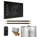 Mr Steam XButler Max Steam Shower Control Package with Black iSteamX Control and Polished Brass Linear Steamhead