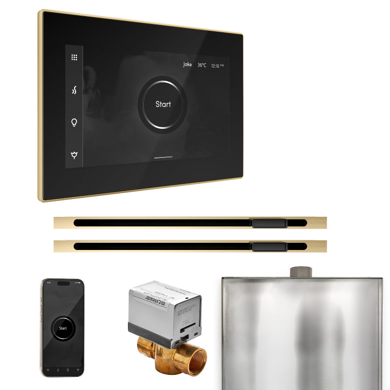 Mr Steam XButler Max Steam Shower Control Package with Black iSteamX Control and Polished Brass Linear Steamhead