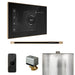 Mr Steam XButler Steam Shower Control Package with Black iSteamX Control and Brushed Bronze Linear Steamhead