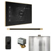 Mr Steam XButler Steam Shower Control Package with Black iSteamX Control and Polished Brass Linear Steamhead