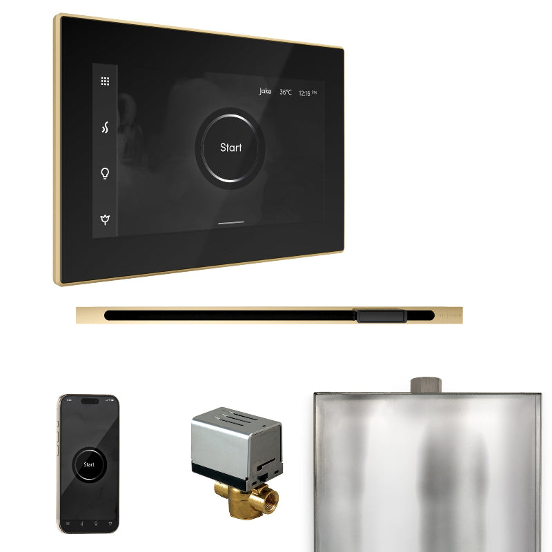Mr Steam XButler Steam Shower Control Package with Black iSteamX Control and Polished Brass Linear Steamhead
