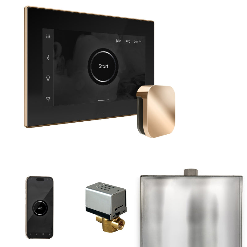 Mr Steam XButler Steam Shower Control Package with Black iSteamX Control and Polished Gold Aromasteam Steamhead
