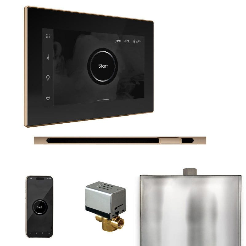 Mr Steam XButler Steam Shower Control Package with Black iSteamX Control and Polished Gold Linear Steamhead