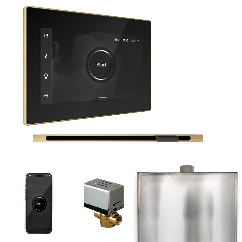 Mr Steam XButler Steam Shower Control Package with Black iSteamX Control and Satin Brass Linear Steamhead