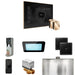 Mr Steam XDream Max Steam Shower Control Package with Black iSteamX Control and Polished Gold Aromasteam Steamhead