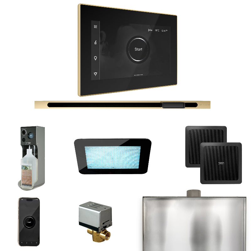 Mr Steam XDream Steam Shower Control Package with Black iSteamX Control and Polished Brass Linear Steamhead