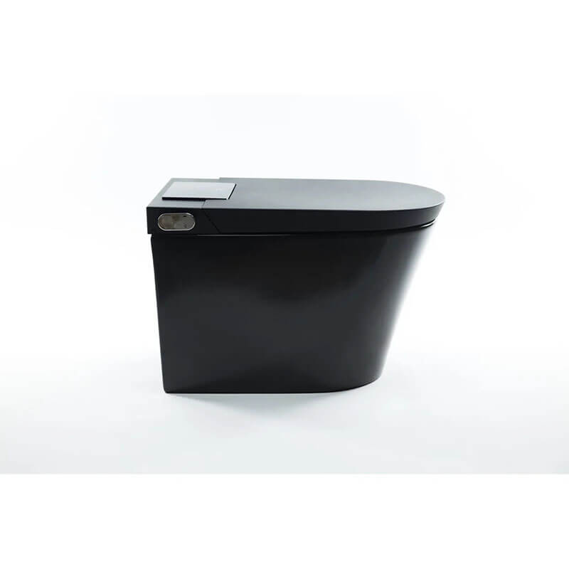 Nobelet STCM1.MB Elongated Matte Black Luxury Toilet with ToeTouch Side View Closed Lid