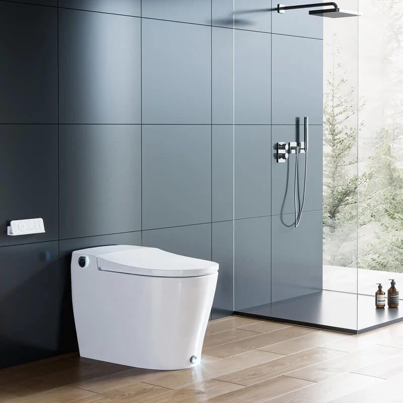 T05 Smart Toilet Corner View Far