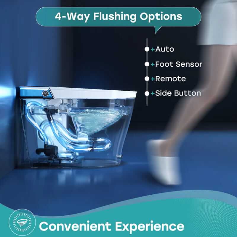 T38 Bidet Combo Toilet With Four Ways of Flushing