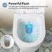 TG03W Wall Mounted Toilet With Powerful Flush