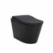 Toto Neorest LS Toilet in Black Matte