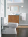 TOTO Toilet TOTO Carlyle II One Piece Toilet - 1.28 GPF