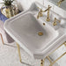 Wellington 24" Single Vanity With Brass Finish Stand Up Close Sink